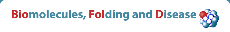 BioFolD - Biomolecules, Folding and Disease